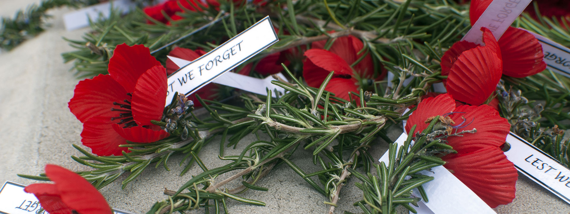 portraits of honour poppies on table